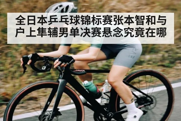 全日本乒乓球锦标赛张本智和与户上隼辅男单决赛悬念究竟在哪